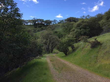 Driveway 01.JPG
